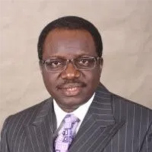 NBCC Executive Council
                                -Seyi Adeyemi, Chairman, Learning, Education and Training Group